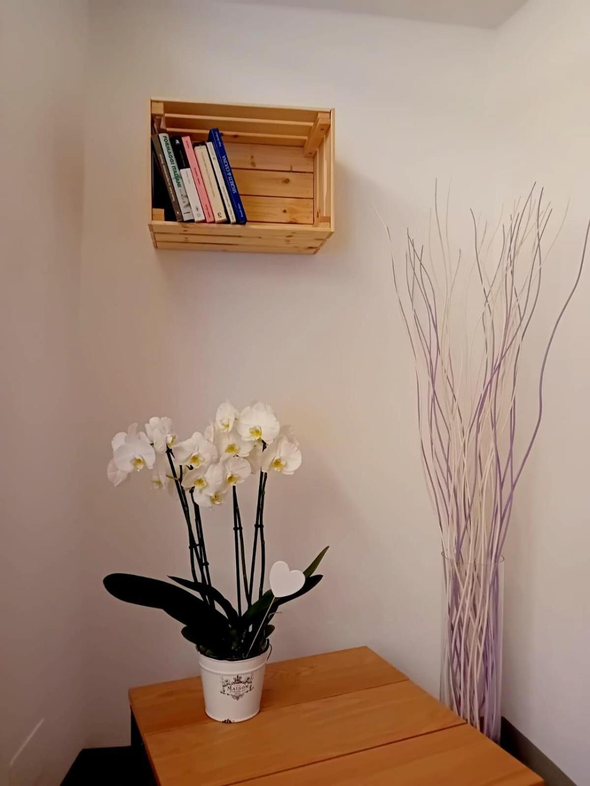 Casa Longhi Apartment Орта Сан Джулио Екстериор снимка